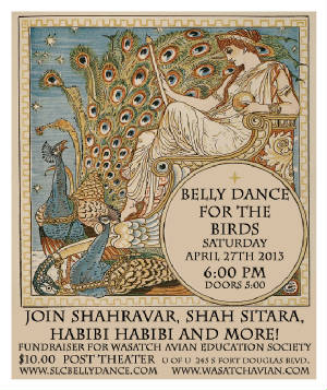 Salt Lake City Bellydance